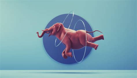 220+ Elephant Transformation Stock Photos, Pictures & Royalty-Free Images - iStock