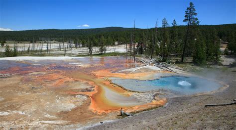 Yellowstone Photography Workshops - Photography Tours