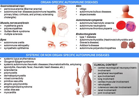 Pin on Educational Medical Diagrams