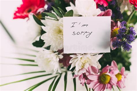 Card with the Words I`m Sorry in a Beautiful Bright Bouquet of Flowers Stock Image - Image of ...