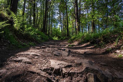 Hiking trail in the peak district Photograph by Camera Destinations - Fine Art America