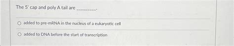 Solved The 5' ﻿cap and poly A tail areadded to pre-mRNA in | Chegg.com