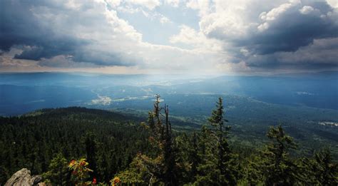 Bavarian Forest National Park at Day by AndyThi on DeviantArt