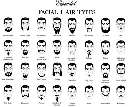 21 Grooming Charts Every Guy Needs To See | Types of facial hair, Types ...