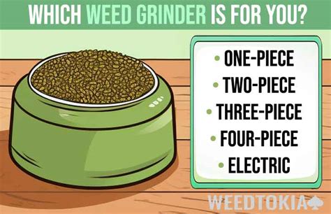 Types of Weed Grinders Explained: What's Right For You? - Weedtokia.com