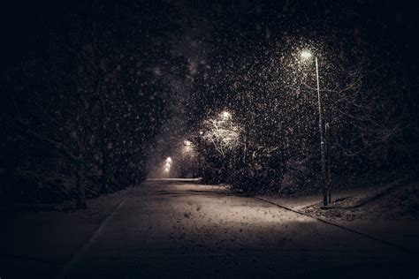 landscape, Nature, Street Light, Snow, Trees, Night, Urban, Shrubs, Calm, Winter Wallpapers HD ...