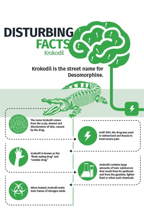 Krokodil Addiction and Rehabilitation - Detox To Rehab