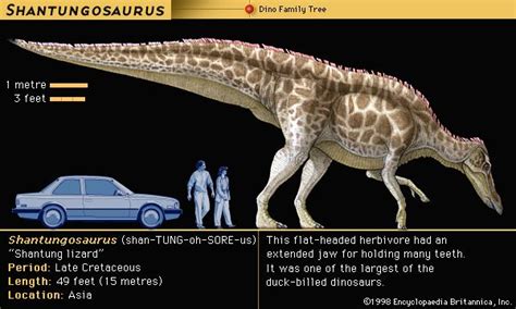 Anatosaurus | dinosaur genus | Britannica.com