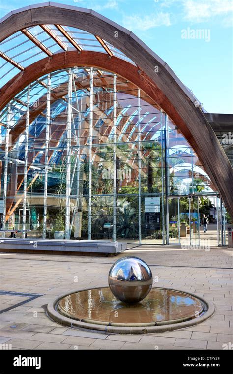 Sheffield, Winter Garden in the city centre. South Yorkshire UK Stock Photo - Alamy