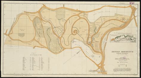 Map of Arnold Arboretum showing location of the trees and shrubs - Digital Commonwealth