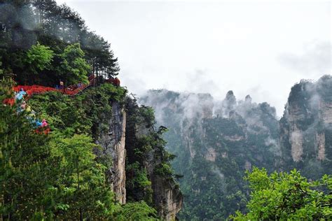 Journey through the Avatar mountains and uncover magical views 💚 Zhangjiajie, Bodycon Dress With ...