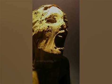 The Mysterious "Screaming Mummies" Unveiled! | #ScreamingMummies #egypt ...