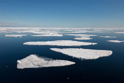 The Five Marginal Seas of the Arctic Ocean