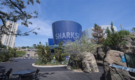 $158 million addition all about Sharks opens in New York Aquarium ...