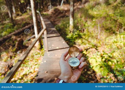 Hand with Compass in Forest Terrain. POV Travel Concept Stock Image - Image of lifestyle, pine ...