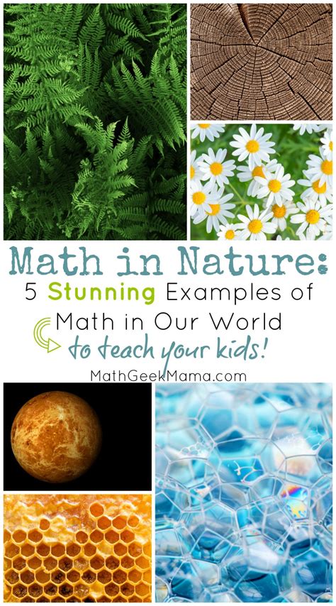 Math in Nature: 5 Stunning Ways We See Math in the World