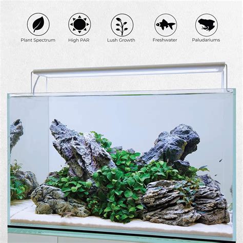 Top 5 Best Budget Planted Aquarium LED Lights For Your Aquarium Plants ...