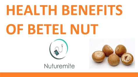 Betel Nut: A Natural Stimulant and a Healthful Supplement|| Effects of ...