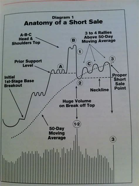 Short Selling Stocks Explained - New Trader U