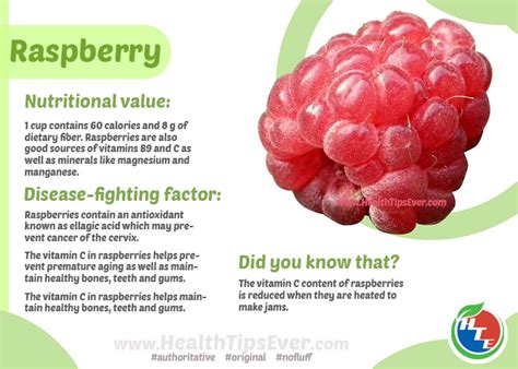 Health Benefits of Raspberry with Infographics – Health Tips Ever Magazine