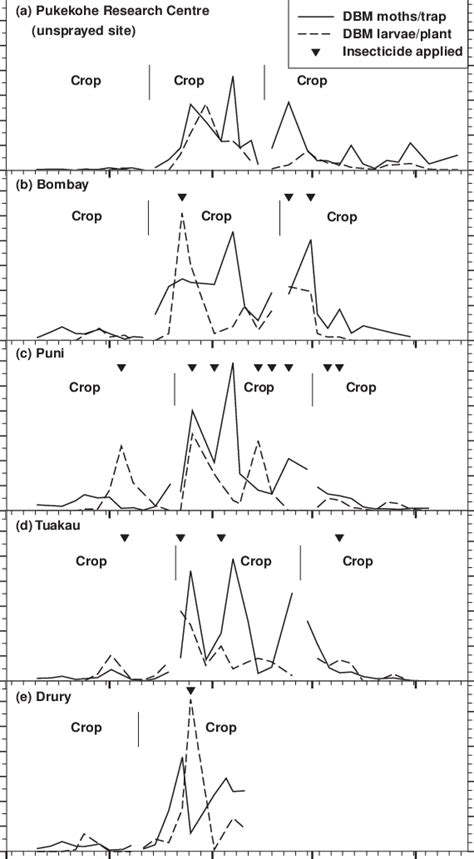 Mean numbers of diamondback moth (DBM) adults caught per pheromone trap ...