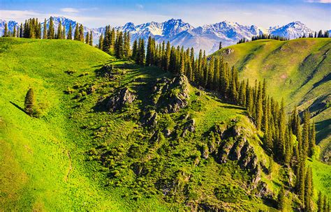 Tian Shan Mountain, Xinjiang China Photograph by Feng Wei Photography