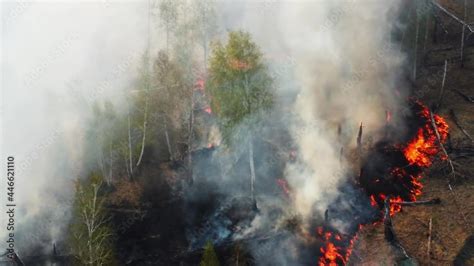 Air pollution caused by forest fire. Clouds of smoke above aerial ...