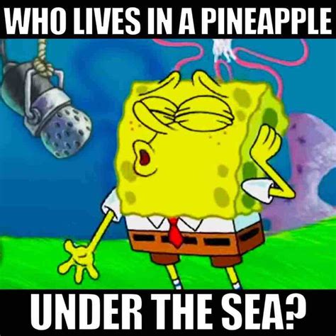 50 Funny SpongeBob Memes And Interesting Facts