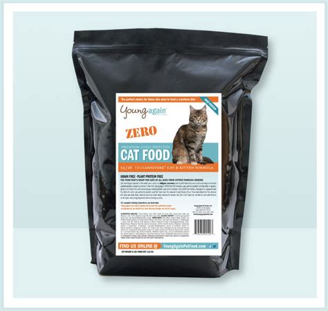 Best Grain-Free and Low-Carb Dry Food Brands for Cats