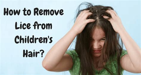 Lice Treatment Hair Growth at Dewayne Earhart blog