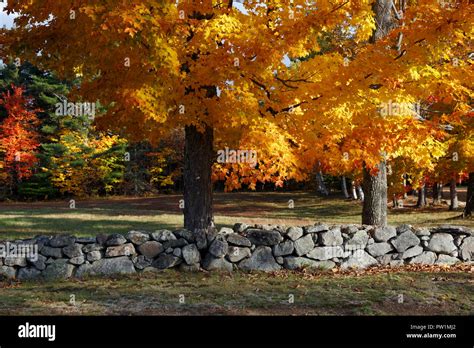 Fall Foliage, New Hampshire, USA Stock Photo - Alamy