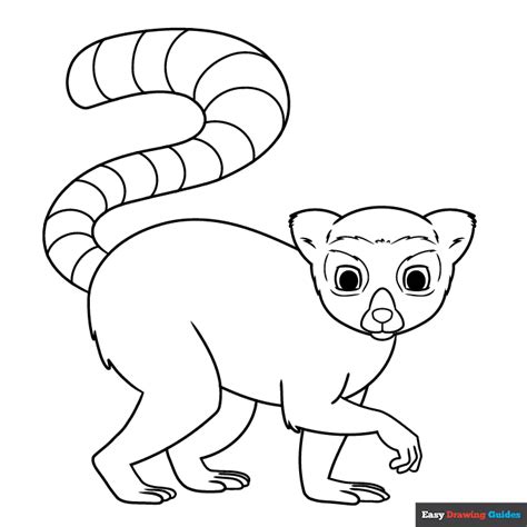 Lemur Coloring Page | Easy Drawing Guides