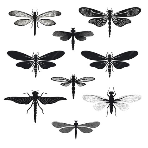 Premium Vector | Wing dragonfly silhouette insect isolated nature vector graphics