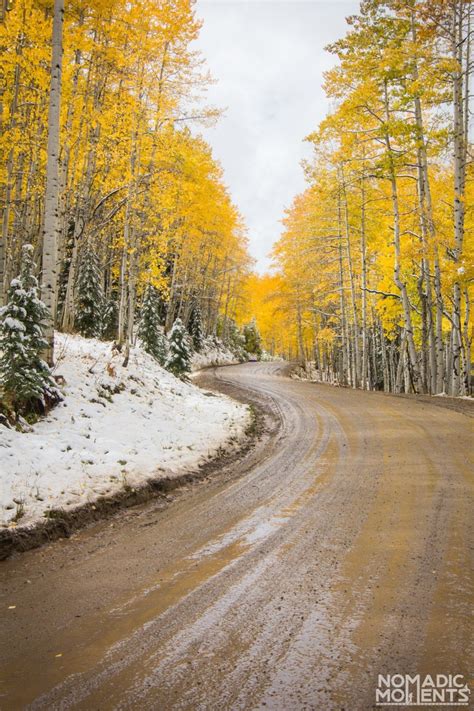 Best Autumn Road Trip in Colorado - Nomadic Moments