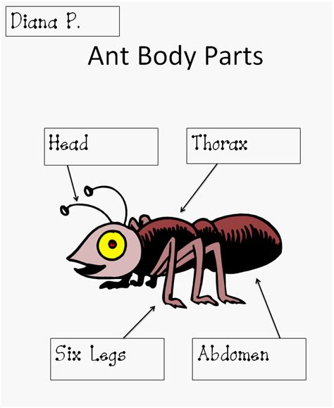 For my ant unit | Insects preschool, Ants, Technology lesson plans