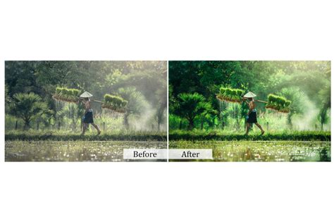 75 Nature Photoshop Actions By Cilo Creative | TheHungryJPEG