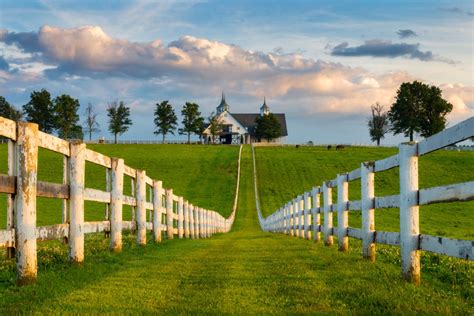 Visit the Kentucky Horse Park for These 3 Amazing Reasons