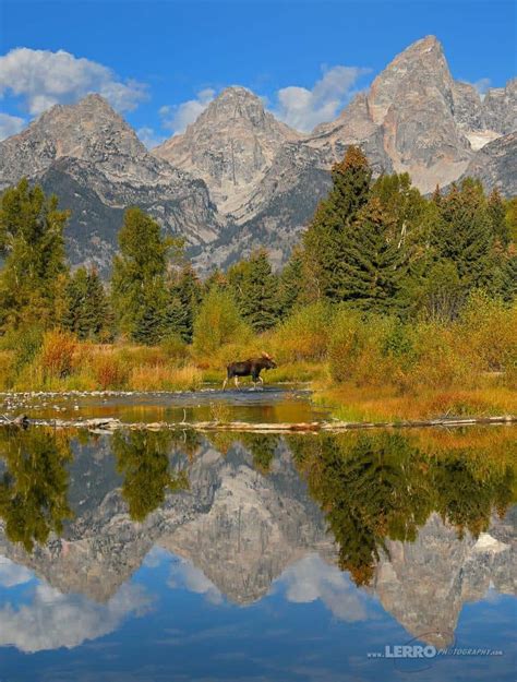 Grand Teton Photography Workshop