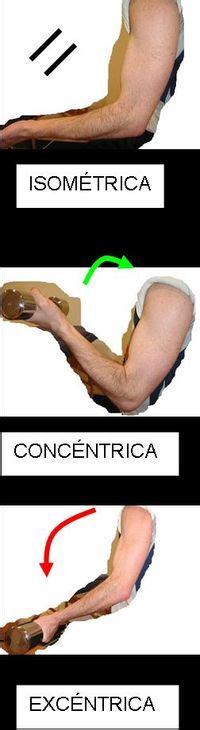 Fuerza Muscular. Biolaster