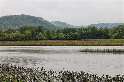 Hiking with Heather: Rained Out at Perrot State Park