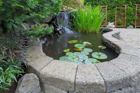 How to Build an Above Ground Pond - Water Garden Advice