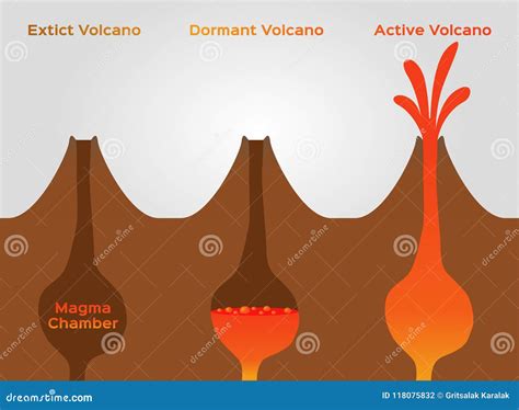 Volcano Stage Infographic / Extinct Dormant And Active Volcano /vector | CartoonDealer.com ...