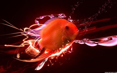 Fish 3d Wallpaper | High Definition Wallpapers, High Definition Backgrounds