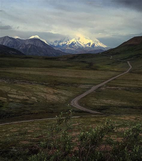 Denali National Park – The Pursuit of Life