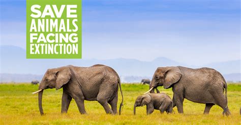 Association of Zoos and Aquariums endorses Yes On I-1401 - Save Animals ...