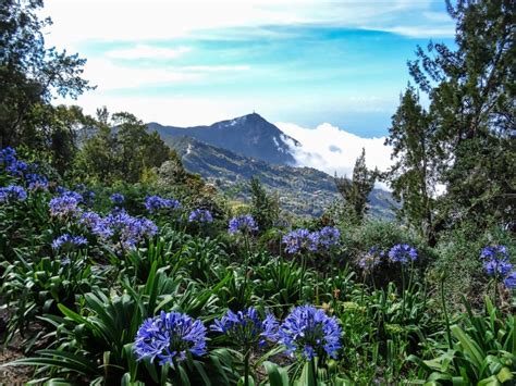 Travel Photography - Caracas, Venezuela. Stock Photo - Image of nature ...