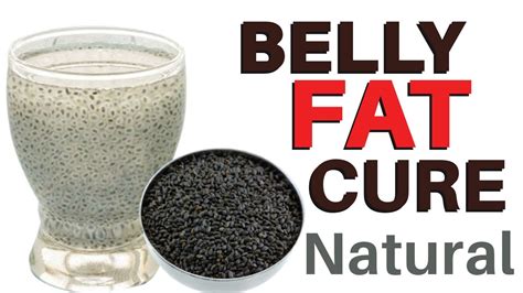 Health Papa: Chia Seeds For Weight Loss Smoothie, Belly Fat Cure by Natural Ways