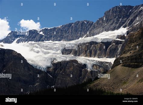 Crowfoot Glacier in Banff National Park, Canada viewed from the Stock ...