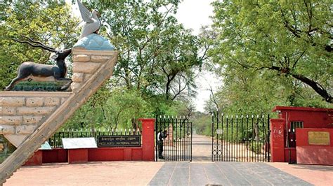 Keoladeo National Park Timing, Entry Fee, Best Time To Visit & Famous Bird - Kadamb Kunj Resort