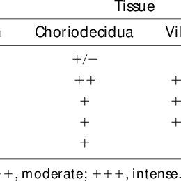 Immunohistochemical staining levels of plasminogen activation cascade... | Download Table